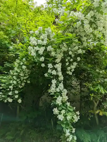熊野若王子神社の自然