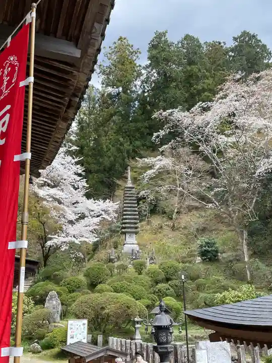 岡寺(龍蓋寺)(奈良県)