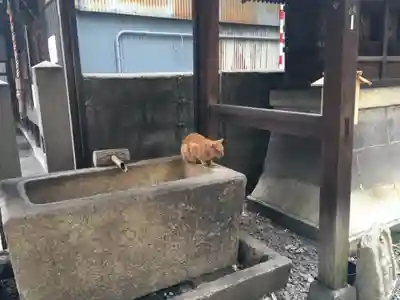 道祖神社の手水舎