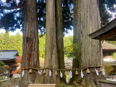 金剛三昧院(和歌山県)