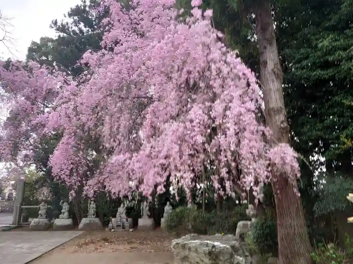 南光寺(笠懸不動尊)の自然