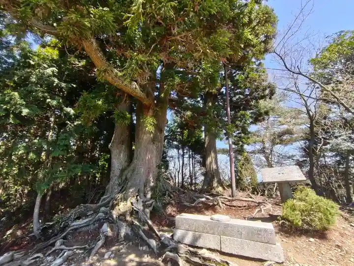 比叡山延暦寺の{uncategorized: "未分類", other: "その他", undefined: "問題あり", building: "その他建物", grave: "お墓", sacred_gate: "鳥居", guardian: "狛犬", statue: "像", buddha: "仏像", history: "歴史", nature: "自然", garden: "庭園", animal: "動物", pagoda: "塔", temizu: "手水舎", mountain_gate: "山門・神門", sanctuary: "本殿・本堂", subordinate: "末社・摂社", art: "芸術", scenery: "景色", jizo: "地蔵", ema: "絵馬", goshuin: "御朱印", omikuji: "おみくじ", items: "授与品その他", amulet: "お守り", goshuincho: "御朱印帳", eats: "食事", festival: "お祭り", votive_dance: "神楽", shichigosan: "七五三参", wedding: "結婚式", experience: "体験その他", initially: "初詣", around: "周辺", anti_infection: "感染症対策"}