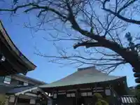 妙長寺のその他建物