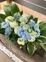 北広島市総鎮守 廣島神社の手水舎