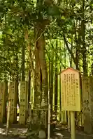 岡森神社(愛媛県)