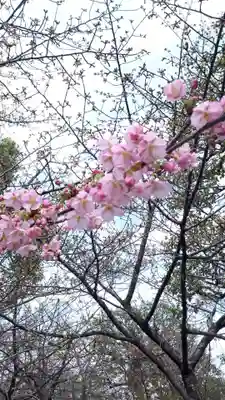 東寺（教王護国寺）(京都府)