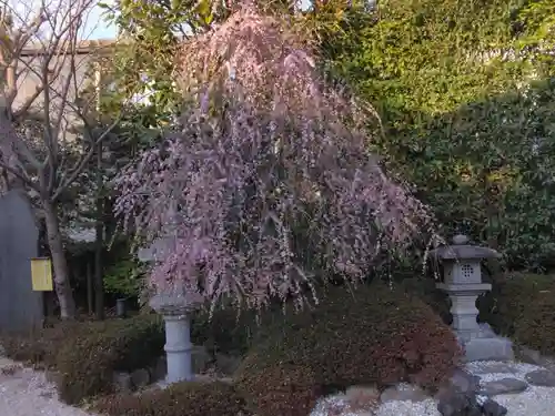 寿徳寺(神奈川県)