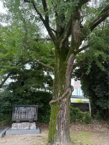 萱津神社(愛知県)