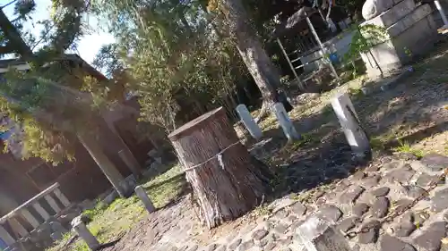 伊豆神社の建物その他