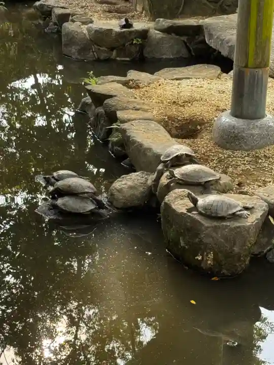 石切劔箭神社(大阪府)