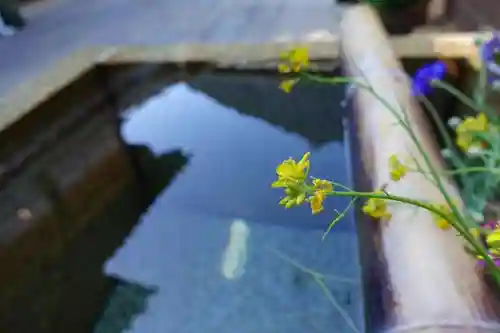 伊勢神宮内宮（皇大神宮）の手水舎