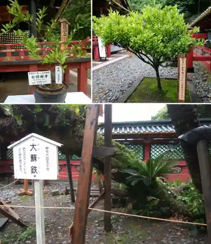 久能山東照宮(静岡県)