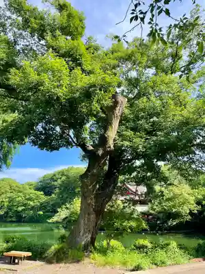 親之井稲荷(尊)跡(東京都)