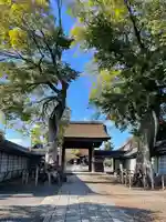 曼陀羅寺の山門・神門