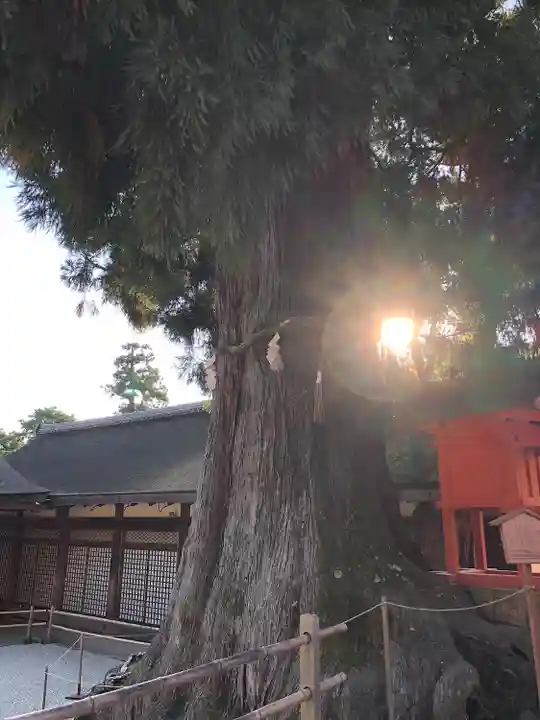 春日大社のその他建物