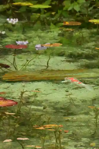 根道神社(岐阜県)