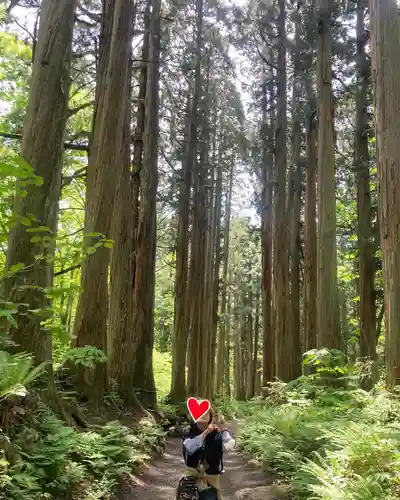 戸隠神社奥社(長野県)