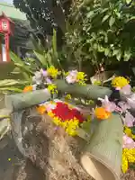 早稲田神社の手水舎