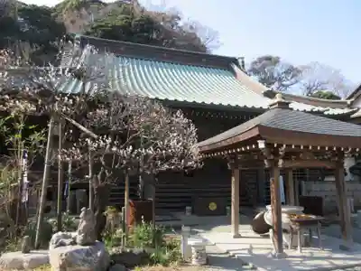 青蓮寺の本殿・本堂