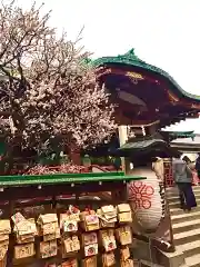 亀戸天神社(東京都)