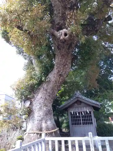 大社神社(愛知県)