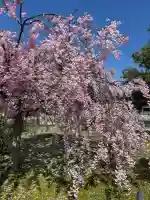 倶利迦羅不動寺鳳凰殿の{uncategorized: "未分類", other: "その他", undefined: "問題あり", building: "その他建物", grave: "お墓", sacred_gate: "鳥居", guardian: "狛犬", statue: "像", buddha: "仏像", history: "歴史", nature: "自然", garden: "庭園", animal: "動物", pagoda: "塔", temizu: "手水舎", mountain_gate: "山門・神門", sanctuary: "本殿・本堂", subordinate: "末社・摂社", art: "芸術", scenery: "景色", jizo: "地蔵", ema: "絵馬", goshuin: "御朱印", omikuji: "おみくじ", items: "授与品その他", amulet: "お守り", goshuincho: "御朱印帳", eats: "食事", festival: "お祭り", votive_dance: "神楽", shichigosan: "七五三参", wedding: "結婚式", experience: "体験その他", initially: "初詣", around: "周辺", anti_infection: "感染症対策"}