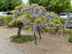 玉敷神社の庭園