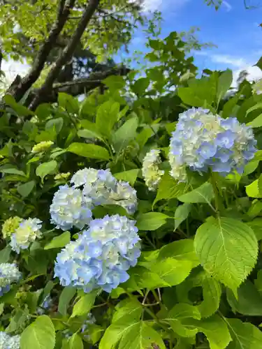 国宝 大法寺の自然