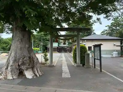 三社大神(千葉県)
