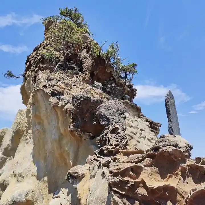 波立寺(波立薬師)の自然