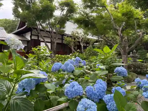 頼光寺(兵庫県)