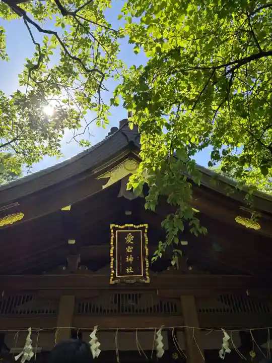 愛宕神社の{uncategorized: "未分類", other: "その他", undefined: "問題あり", building: "その他建物", grave: "お墓", sacred_gate: "鳥居", guardian: "狛犬", statue: "像", buddha: "仏像", history: "歴史", nature: "自然", garden: "庭園", animal: "動物", pagoda: "塔", temizu: "手水舎", mountain_gate: "山門・神門", sanctuary: "本殿・本堂", subordinate: "末社・摂社", art: "芸術", scenery: "景色", jizo: "地蔵", ema: "絵馬", goshuin: "御朱印", omikuji: "おみくじ", items: "授与品その他", amulet: "お守り", goshuincho: "御朱印帳", eats: "食事", festival: "お祭り", votive_dance: "神楽", shichigosan: "七五三参", wedding: "結婚式", experience: "体験その他", initially: "初詣", around: "周辺", anti_infection: "感染症対策"}