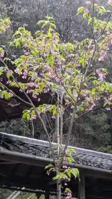 長尾天満宮(京都府)