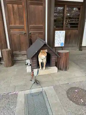 感通寺(東京都)