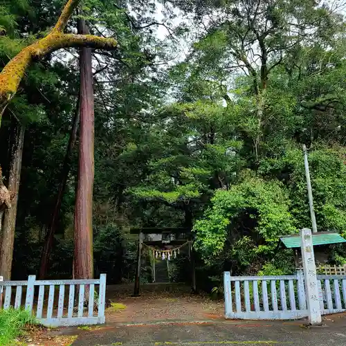 雨櫻神社(静岡県)