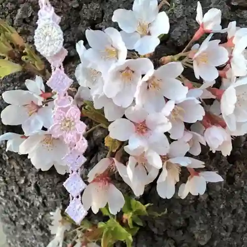 櫻岡大神宮の自然