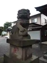 立川熊野神社の狛犬