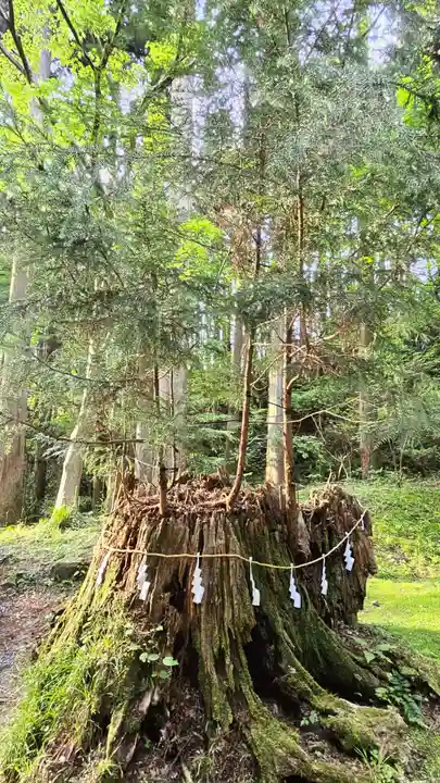 御岩神社の自然