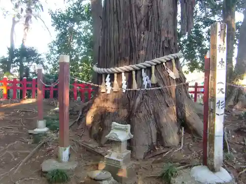 麻賀多神社奥宮の自然