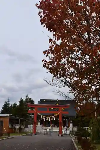 美瑛神社の鳥居