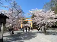 平野神社の鳥居