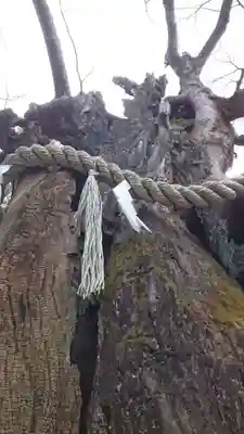 新田神社(東京都)