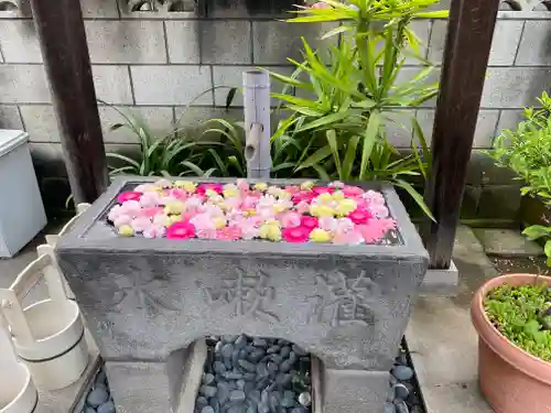 寳性寺(東京都)