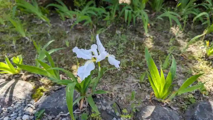 得浄明院(善光寺別院)(京都府)