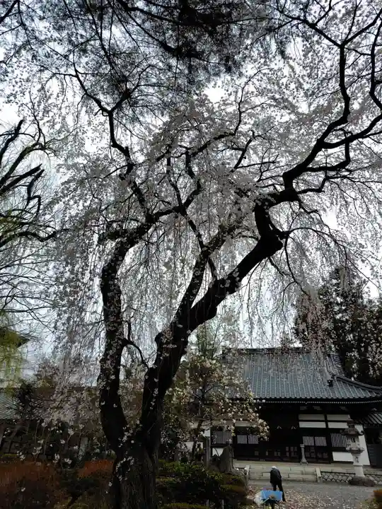 関川寺(福島県)