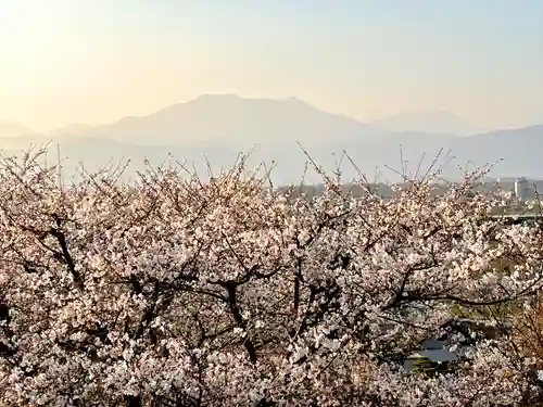 如法寺(長野県)