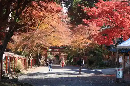 日吉大社の鳥居