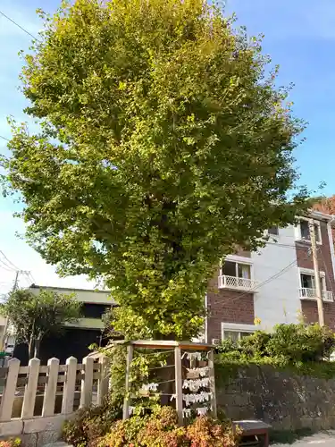叶神社（東叶神社）の自然