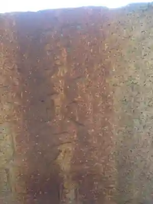 弓弦羽神社(兵庫県)