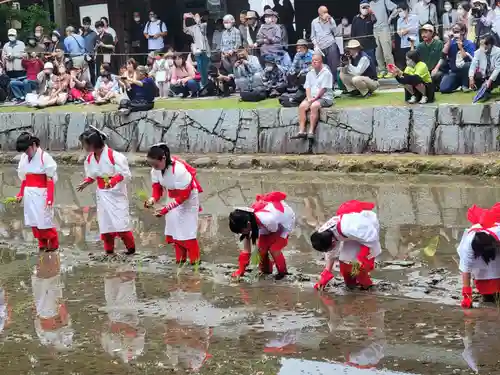 大山祇神社(愛媛県)